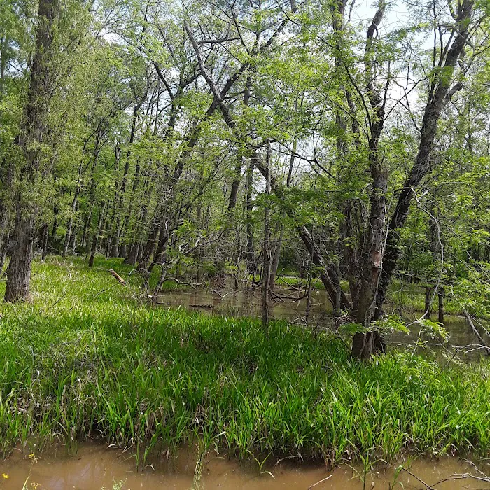 Sutton Lake Campground 1