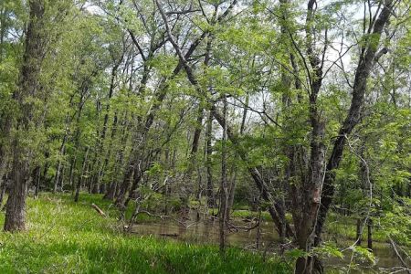 Sutton Lake Campground