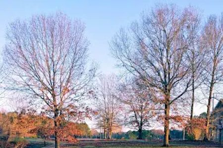 Natchez State Park Campground