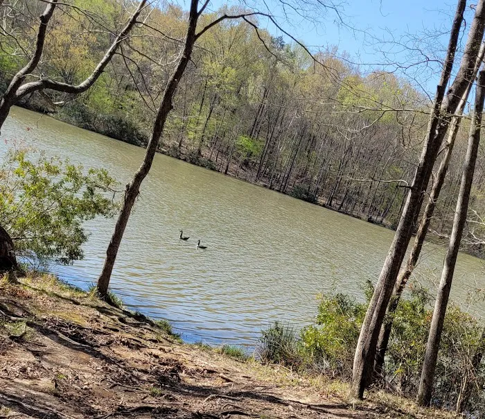 Natchez State Park Campground 7