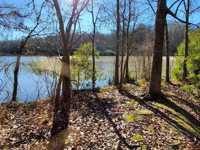 Natchez State Park Campground 8