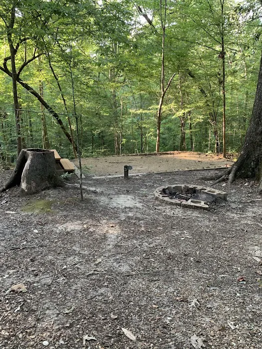Tunica Hills Campground 3