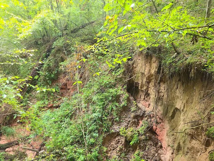 Tunica Hills Campground 10