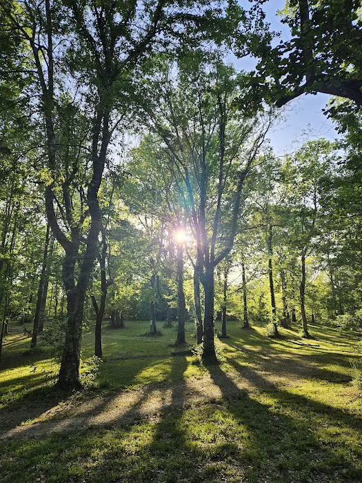 WMA Tent Campground 1