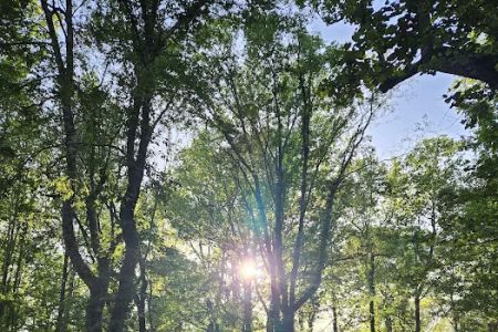 WMA Tent Campground