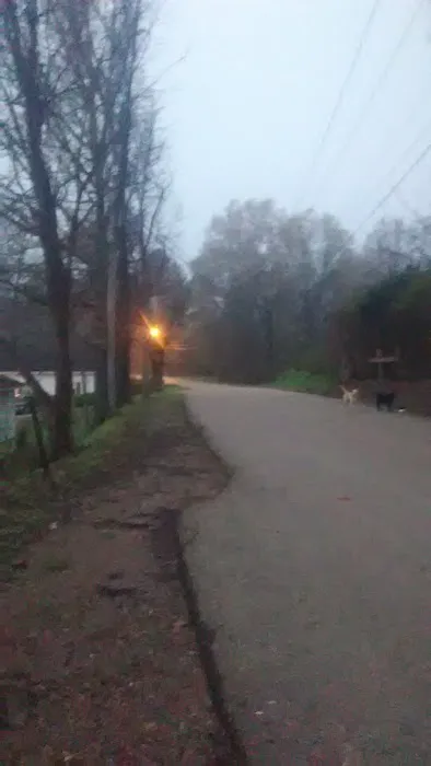 Beechwood Mobile Home Park 3