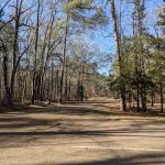 Rocky Springs Campground