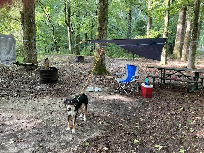 Rocky Springs Campground 2