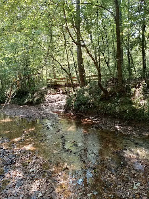 Rocky Springs Campground 8