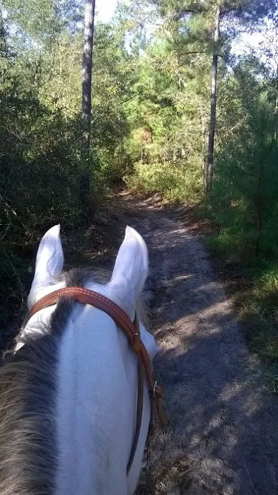 5D Ranch 4