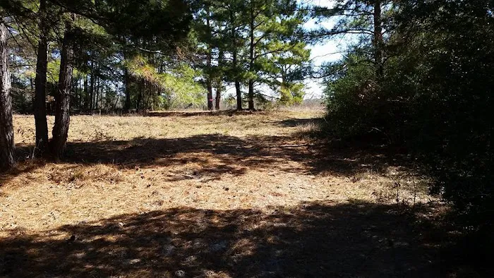 5D Ranch 3