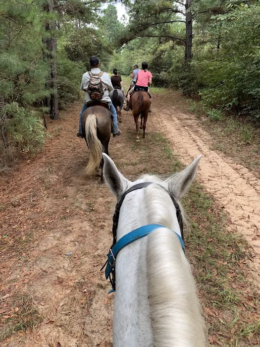 5D Ranch 6