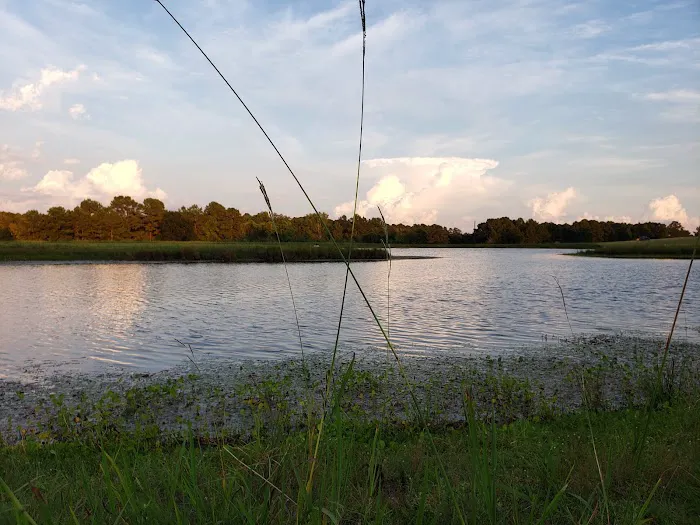 5D Ranch 10