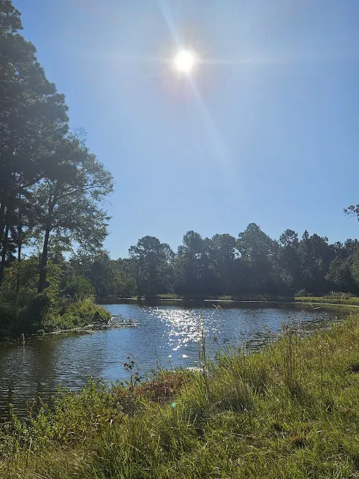Camp Caney Creek 1
