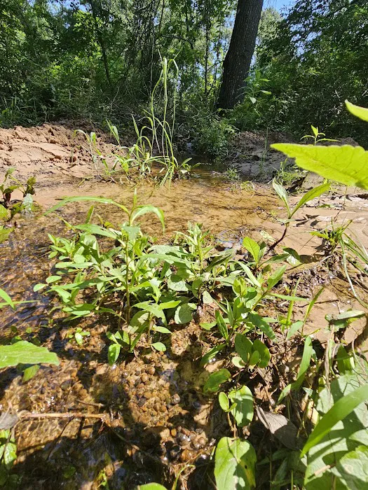 Camp Caney Creek 9