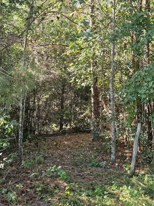 Camp Caney Creek 10