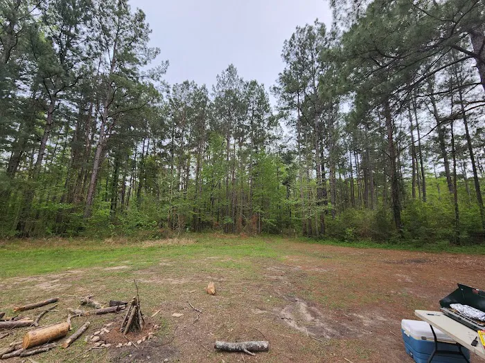 Kelly's Pond Motorized Campground 1