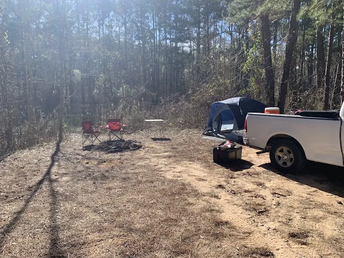 Kelly's Pond Motorized Campground 4
