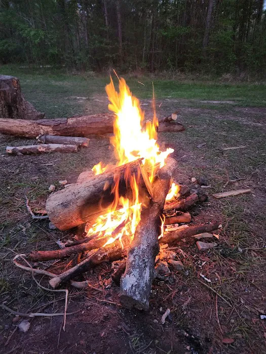Kelly's Pond Motorized Campground 10