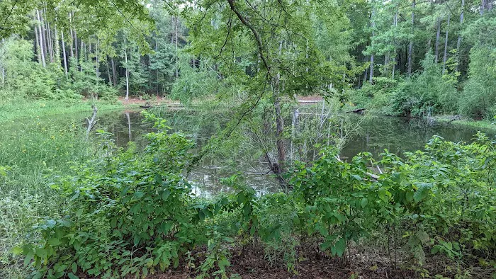 Kelly's Pond Motorized Campground 8