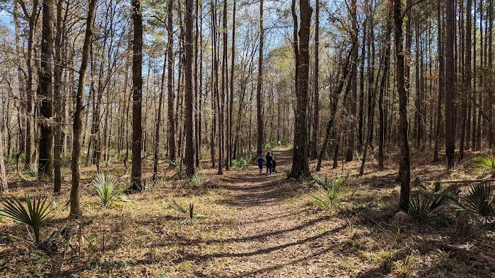 Stubblefield Lake Recreation Area 5