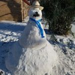 Timberlake-Mobiletown Mobile