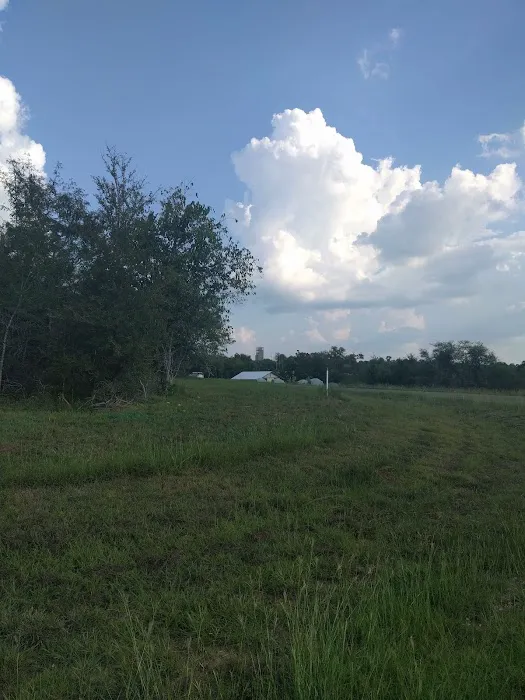 Tellepsen Scout Camp - BSA 8