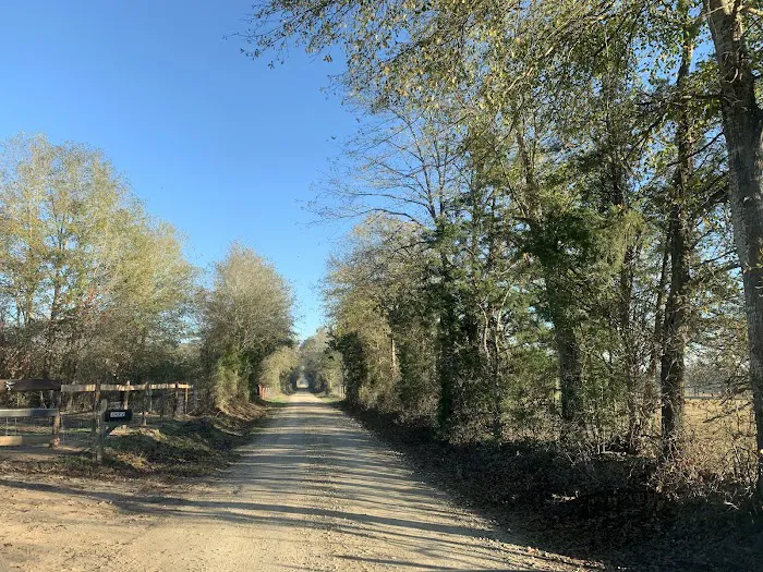 Teserra RV Park 4