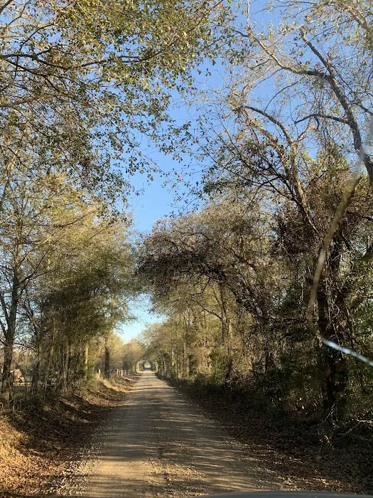 Teserra RV Park 7