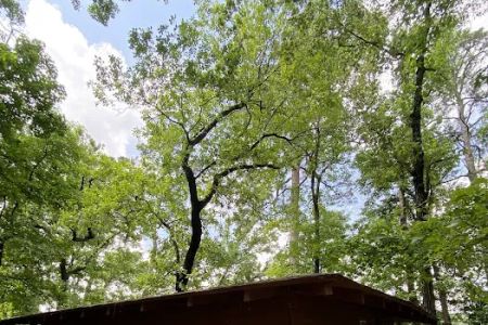 S13 Campsite with Shelter