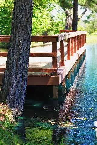 My Favorite Campground BY RESERVATION ONLY 5
