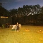 Central Texas RV Park
