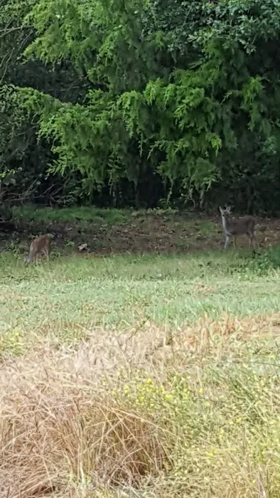 Central Texas RV Park 7