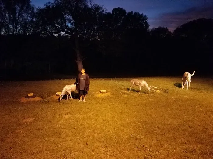 Central Texas RV Park 4
