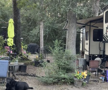 Cedar Grove RV Park & Campground
