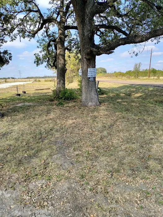 Ben Hur RV Park 3