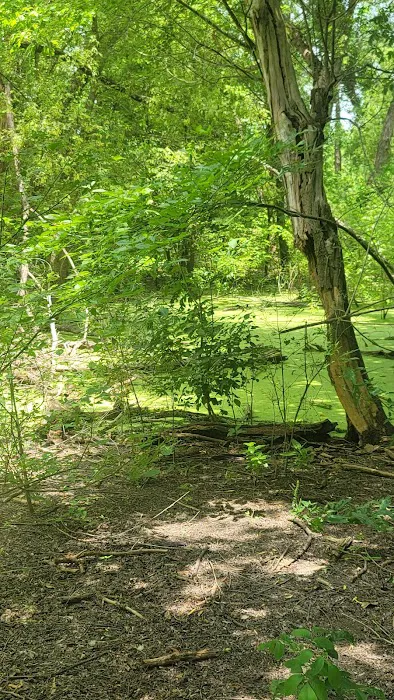 Bear Creek Campground 9