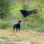 Open Valley RV Park