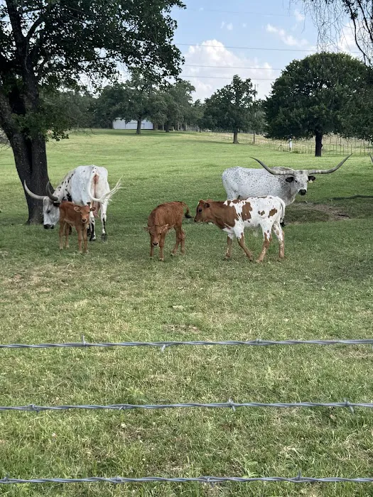 Legacy Longhorn Ranch and RV Resort 1