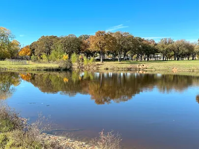 Legacy Longhorn Ranch and RV Resort 3