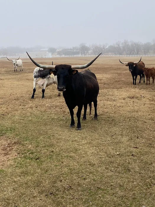 Legacy Longhorn Ranch and RV Resort 10