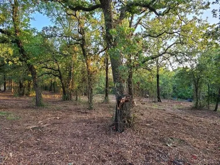 Dennis Acres Tiny Home Community 10