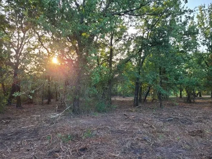 Dennis Acres Tiny Home Community 9