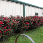 Country Living RV Park