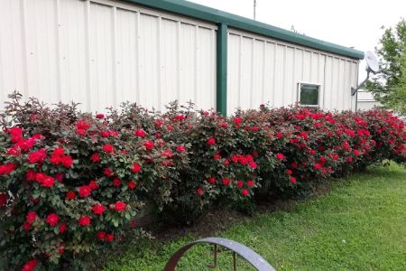 Country Living RV Park
