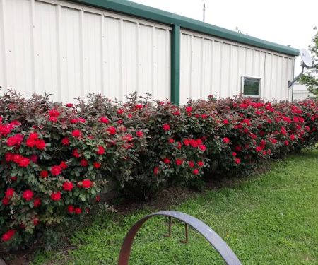 Country Living RV Park