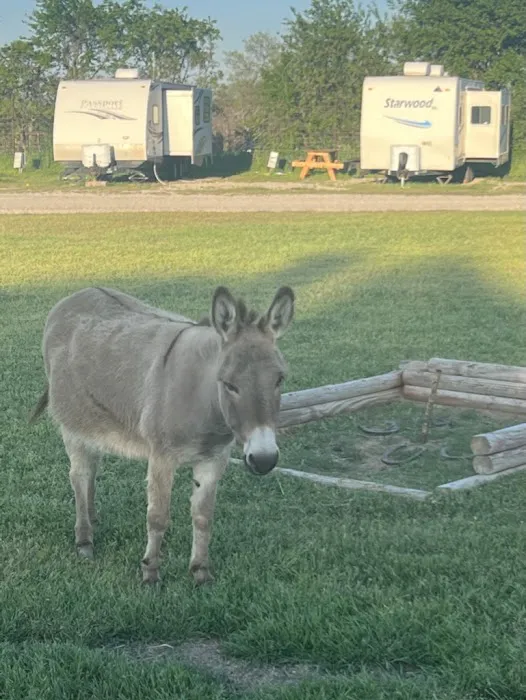 Hidden Lake RV Ranch & Safari 5