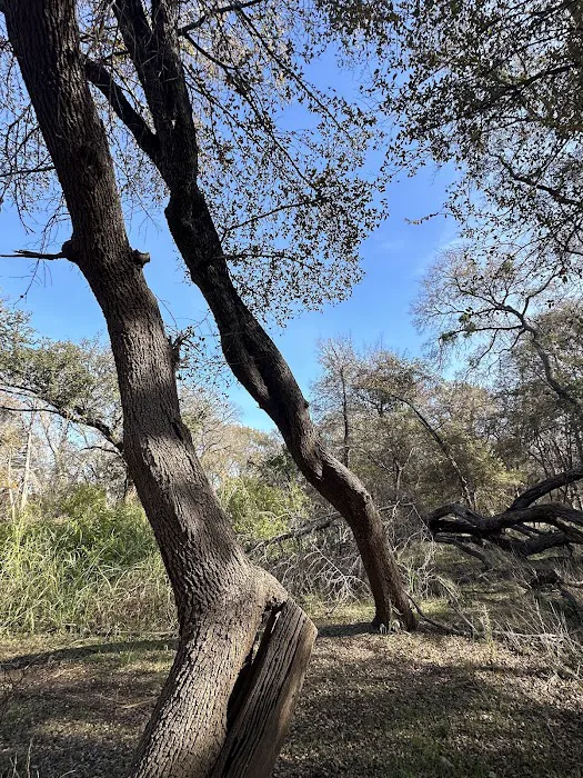Reynolds Creek Park 4