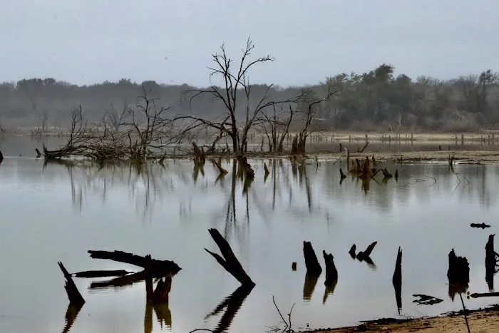 Reynolds Creek Park 7