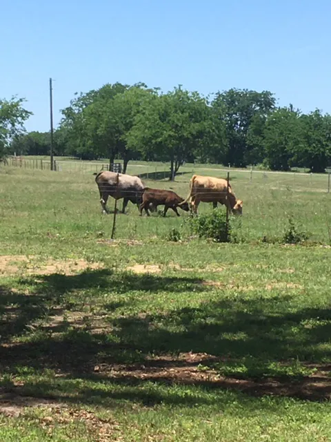 E Double H RV Park at Waco Lake 4